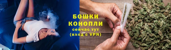 PSILOCYBIN Белокуриха