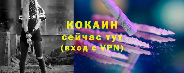 PSILOCYBIN Белокуриха