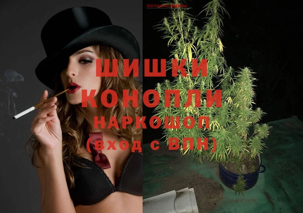 PSILOCYBIN Белокуриха