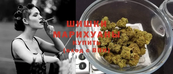 PSILOCYBIN Белокуриха
